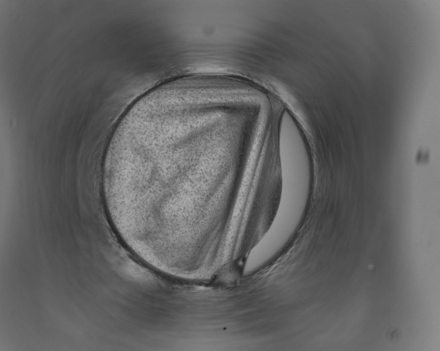 X0000091900385200710031826