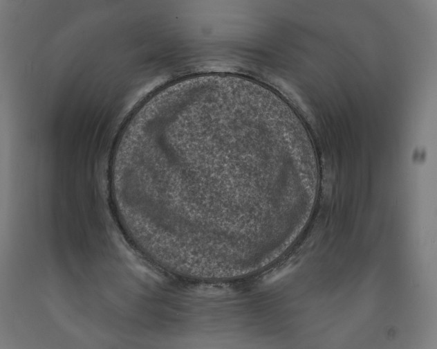 X0000091900386200710031826