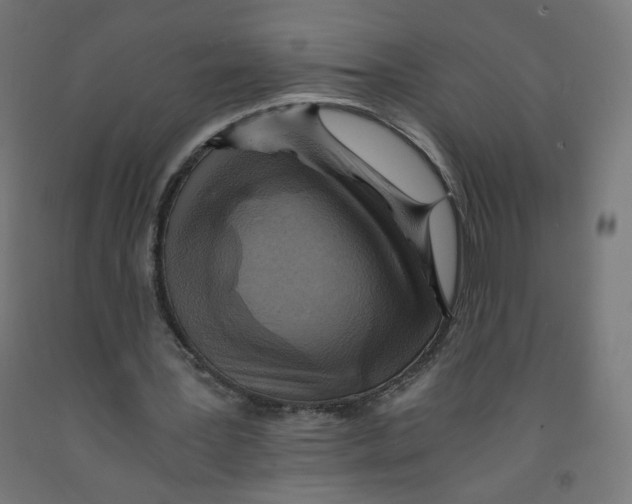 X0000091900387200710031826