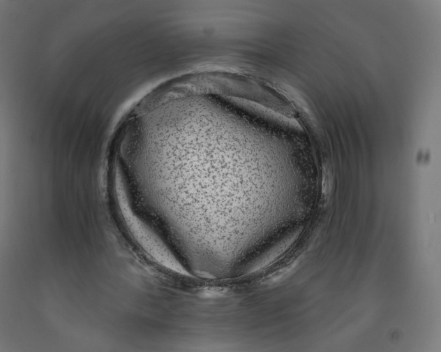 X0000091900388200710031826