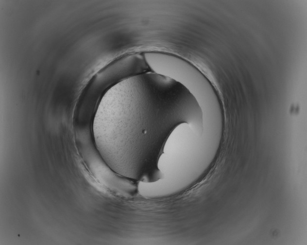 X0000091900389200710031826