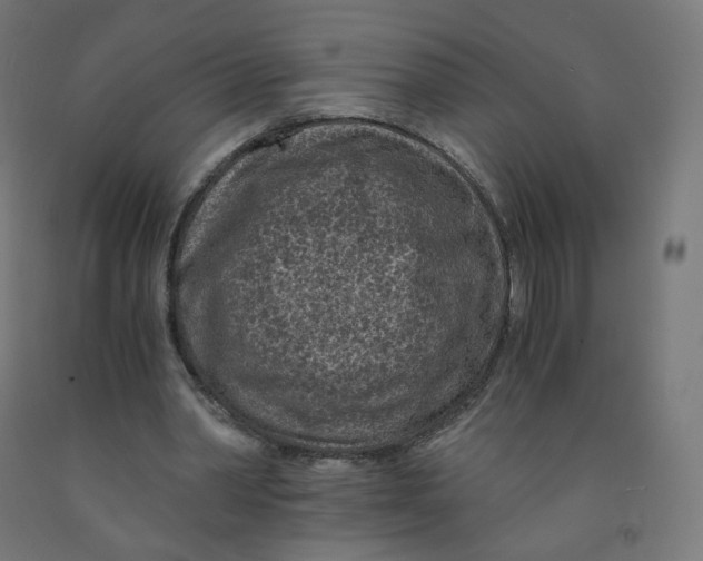 X0000091900390200710031826