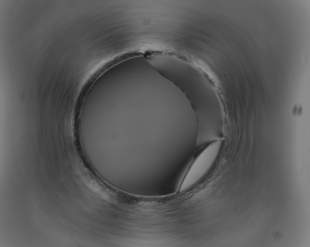 X0000091900391200710031826