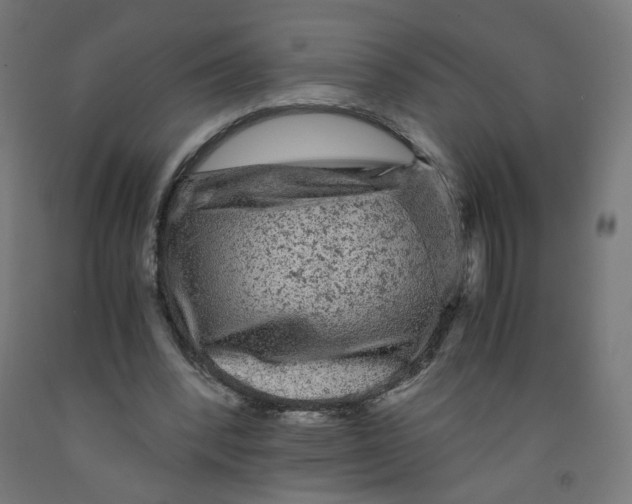 X0000091900392200710031826