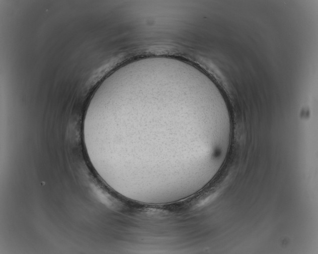 X0000091900393200710031826