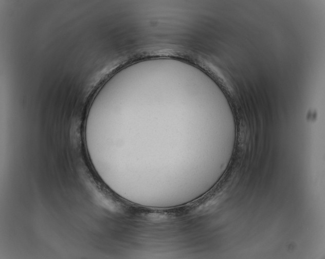 X0000091900394200710031826