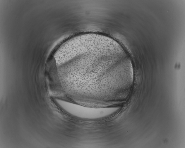 X0000091900395200710031826