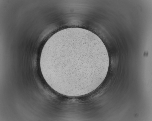 X0000091900396200710031826