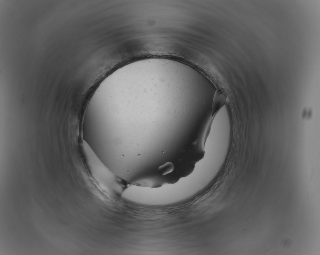 X0000091900397200710031826