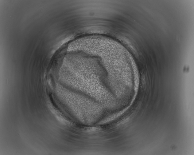 X0000091900398200710031826