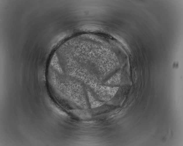 X0000091900399200710031826