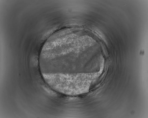 X0000091900401200710031826