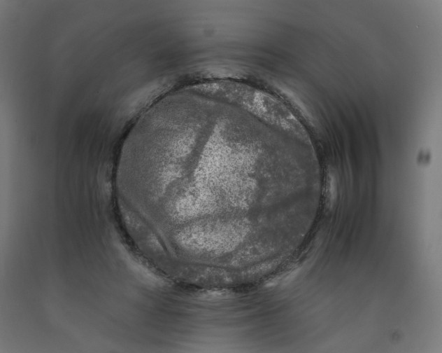 X0000091900402200710031826