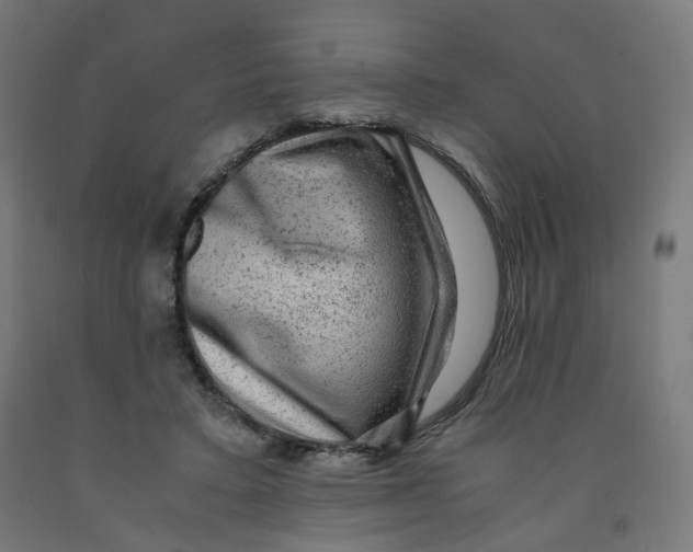 X0000091900403200710031826