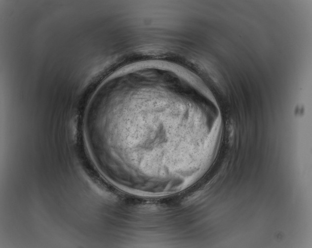 X0000091900404200710031826