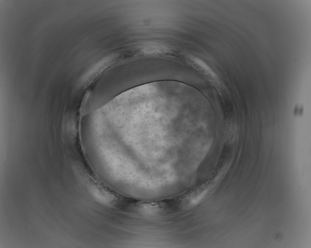 X0000091900405200710031826