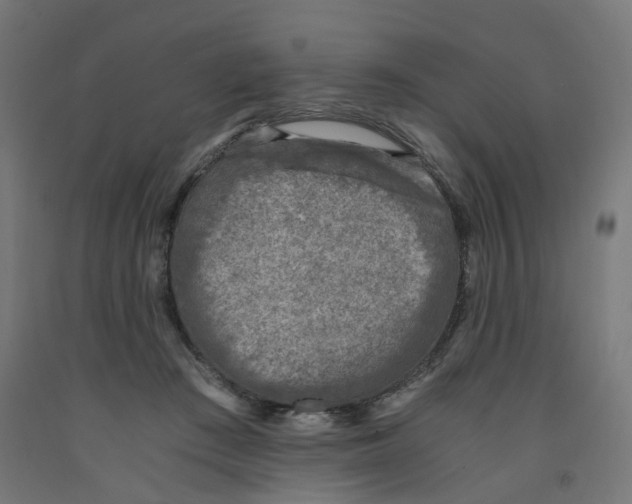 X0000091900409200710031826