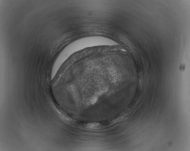 X0000091900410200710031826