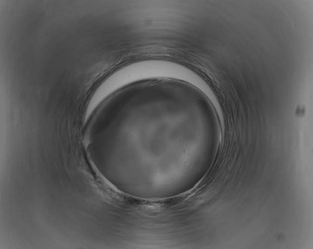 X0000091900411200710031826