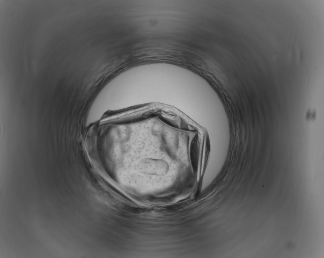 X0000091900412200710031826