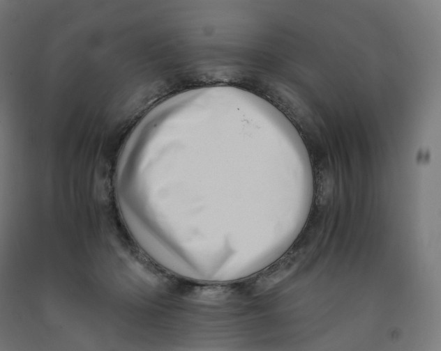 X0000091900414200710031826