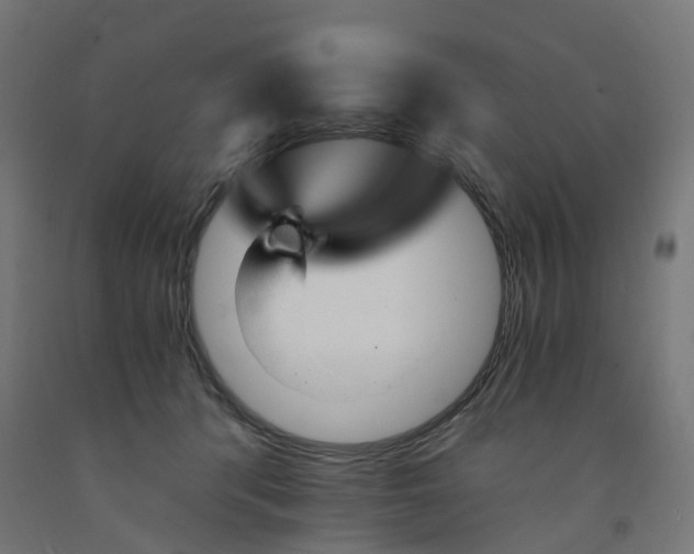 X0000091900416200710031826