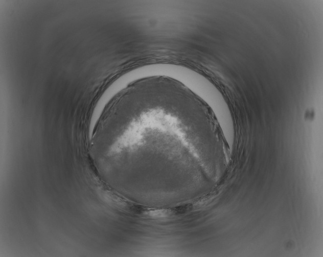 X0000091900417200710031826