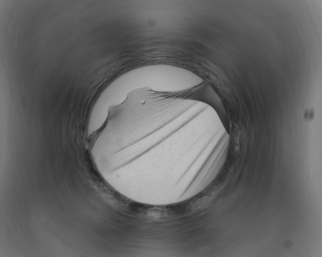 X0000091900420200710031826