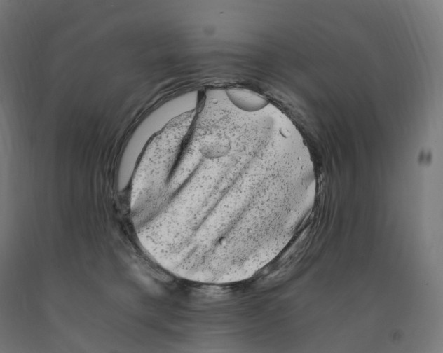 X0000091900421200710031826