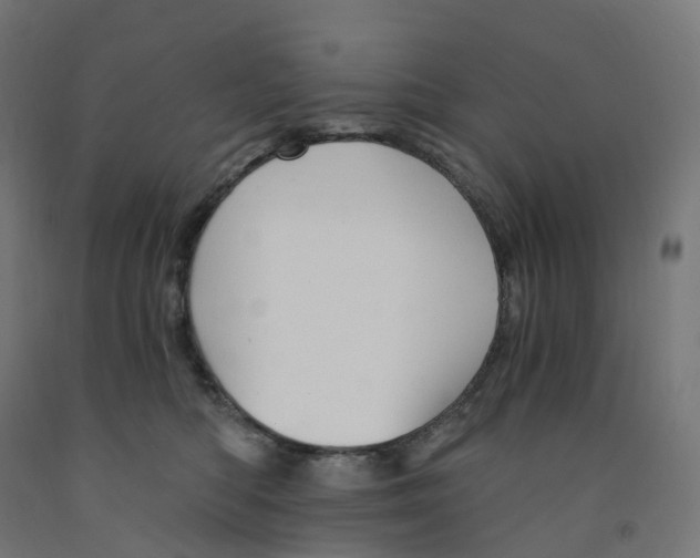 X0000091900422200710031826