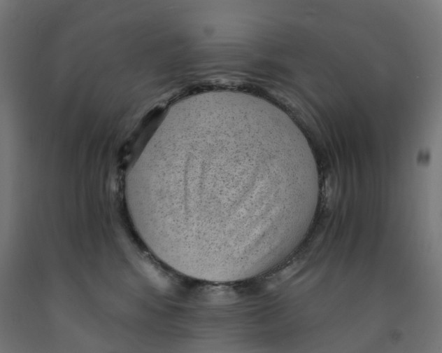 X0000091900424200710031826