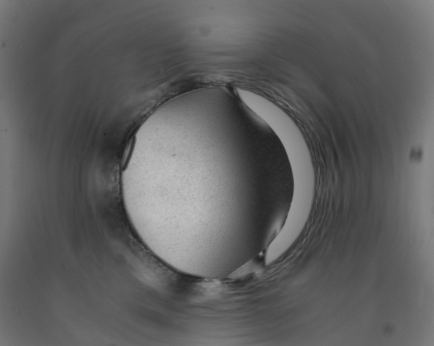 X0000091900425200710031826