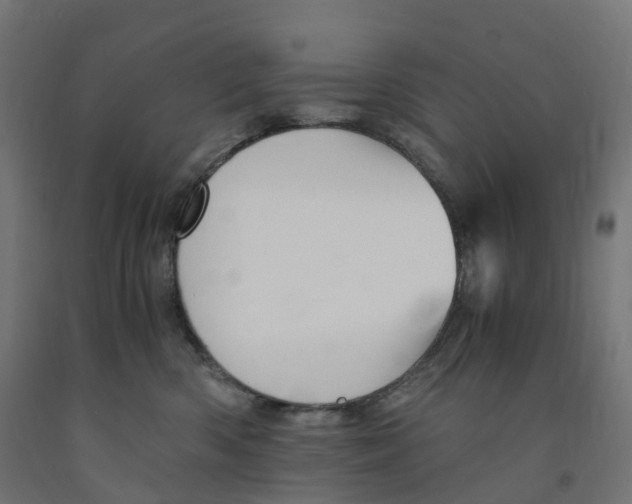 X0000091900426200710031826