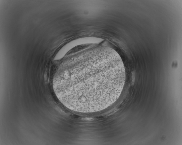 X0000091900428200710031826