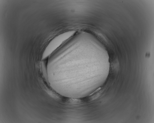 X0000091900429200710031826