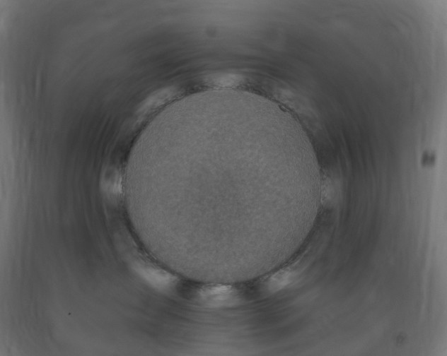 X0000091900431200710031826