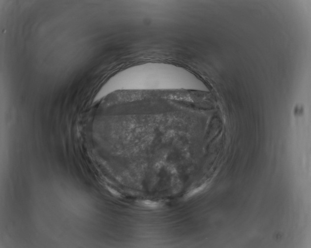 X0000091900432200710031826