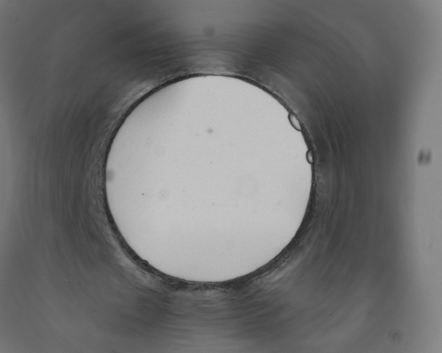 X0000091900433200710031825