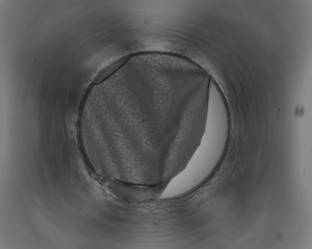 X0000091900434200710031825