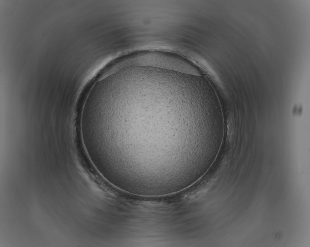 X0000091900436200710031825