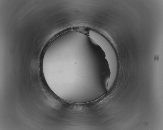 X0000091900439200710031825