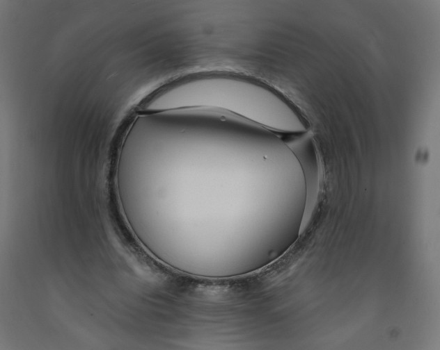 X0000091900440200710031825