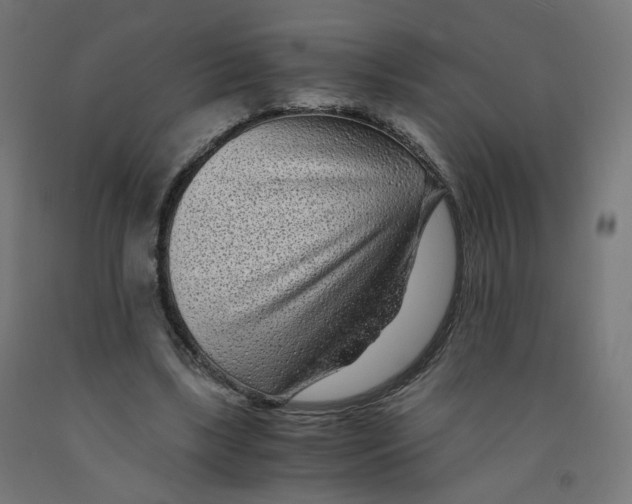 X0000091900443200710031825