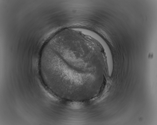 X0000091900444200710031825