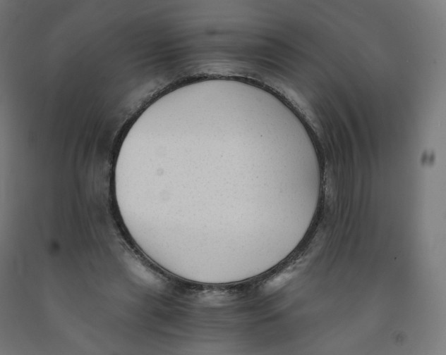 X0000091900445200710031825