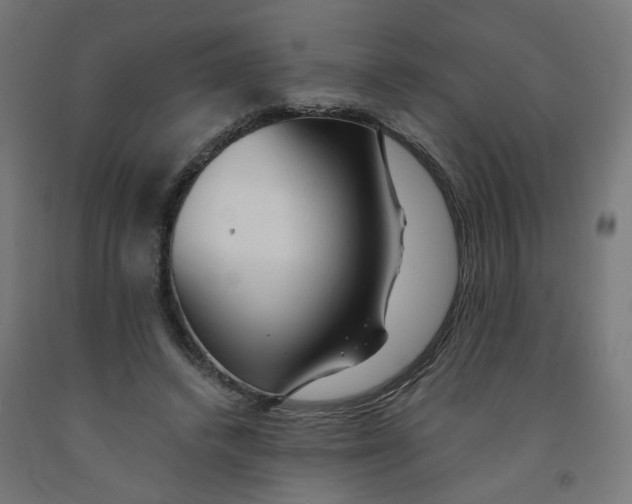 X0000091900448200710031825