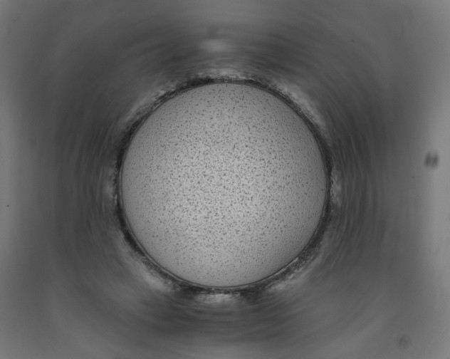 X0000091900449200710031825