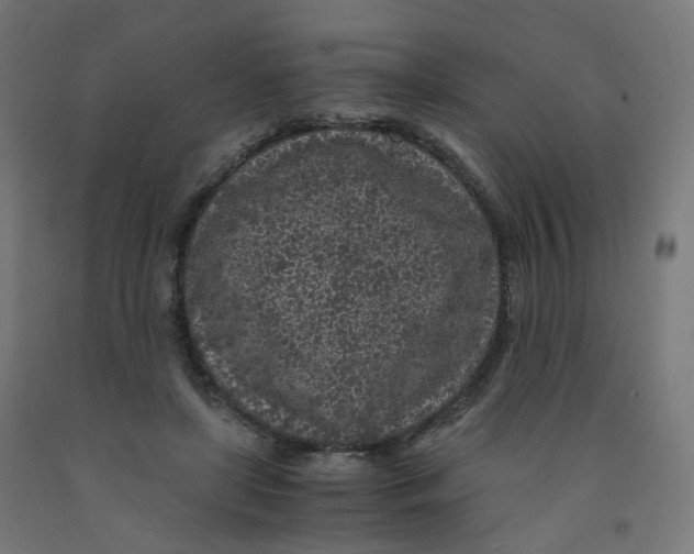 X0000091900451200710031825