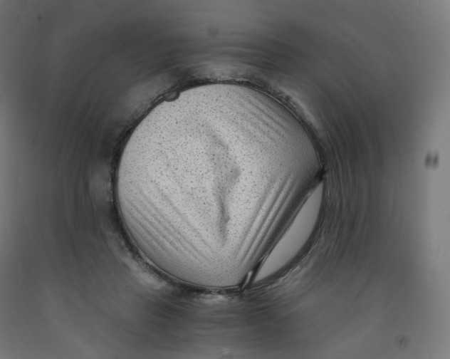 X0000091900453200710031825