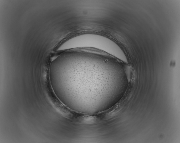 X0000091900456200710031825